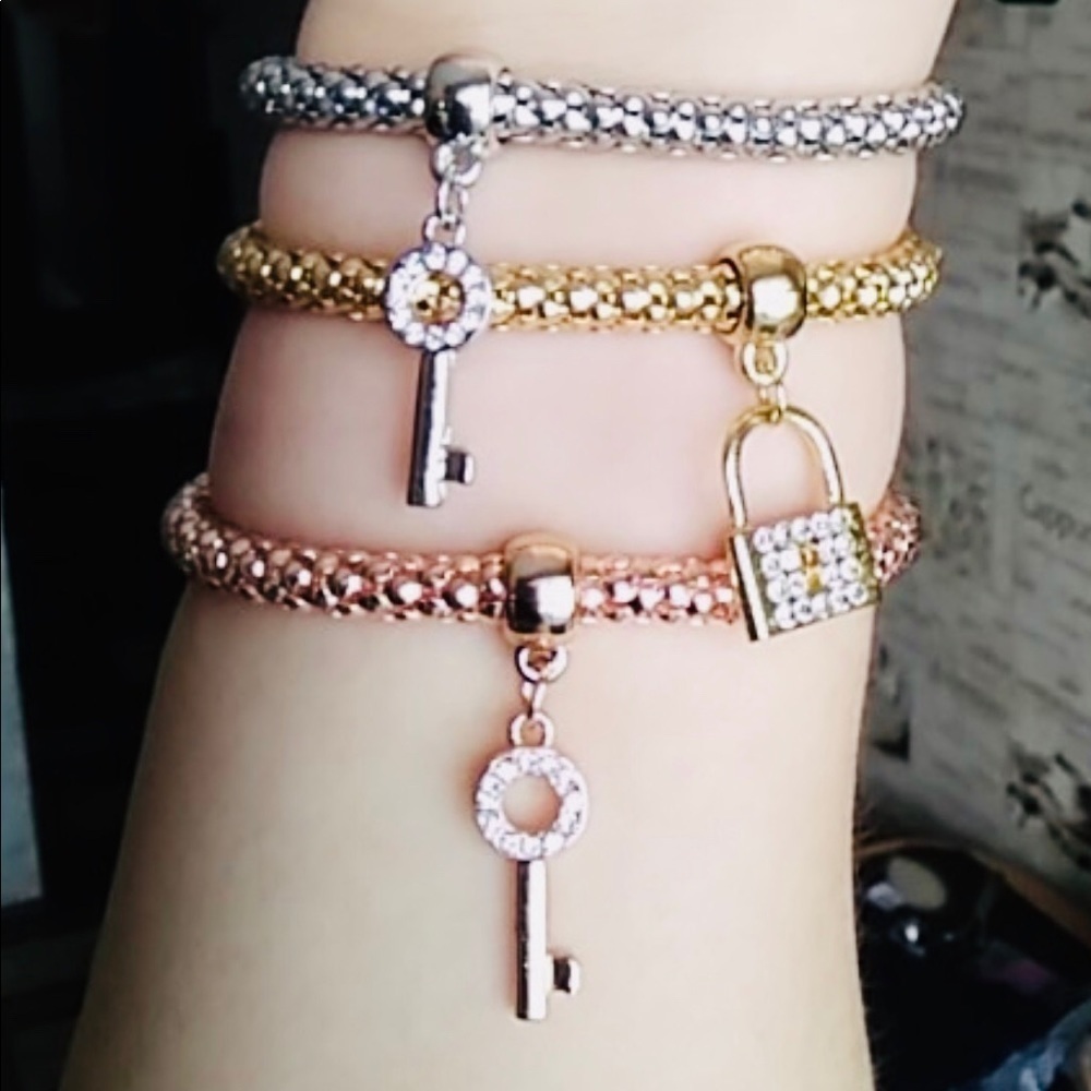 3 Pc Charm Bracelet Bundle Rose Gold Gold Silver - NWT - Picture 4 of 6